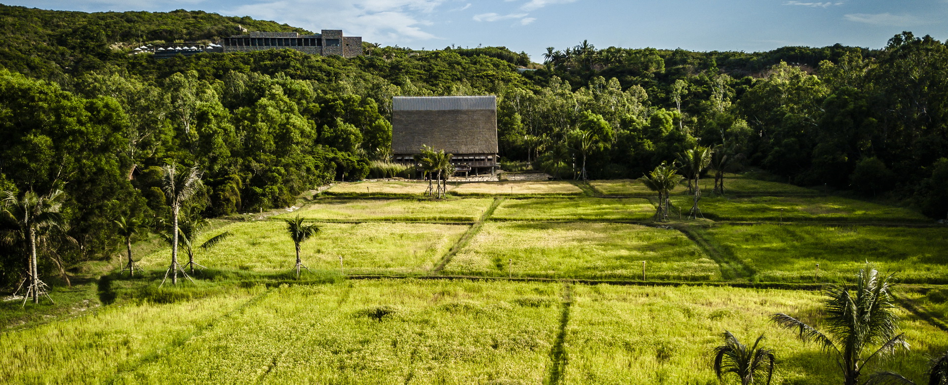 Zannier Hotels Bãi San Hô - Rice Paddies 1 - © Frederik Wissink for Zannier Hotels